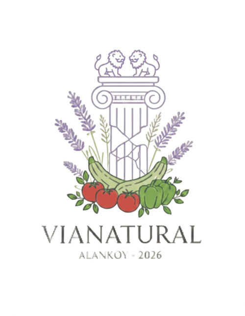 ViaNatural Pisidia Logo